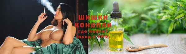 PSILOCYBIN Армянск