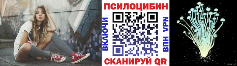 Псилоцибиновые грибы прущие грибы  Сясьстрой 